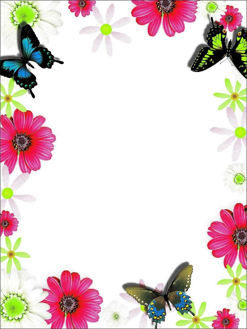صور لـ #زاهى_الألوان #الإطار #زهور #بطاقة_تحية #الفراشات