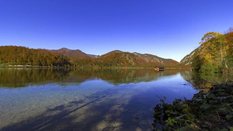 صور لـ #النمسا_العليا #Almsee #تارن #Almtal #النمسا