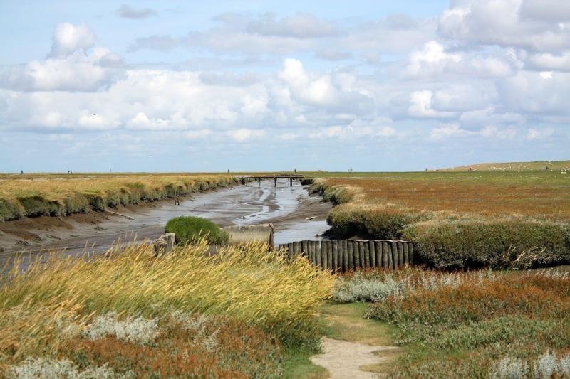 صور تحتوي #Westerhever #ساحل_بحر_الشمال