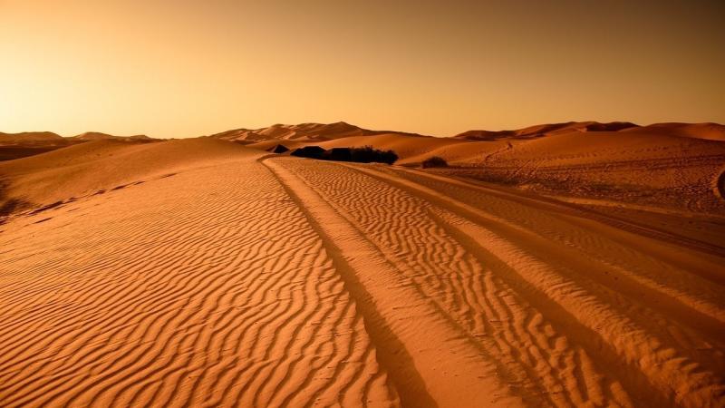 صور لـ #جاف #الصحراء #المغرب #صحراء #الكثبان_الرملية #جفاف