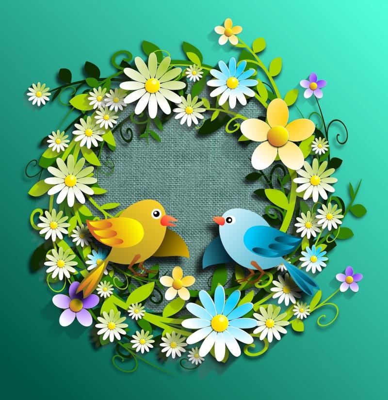 صور لـ #ربيعي #زهور #زهري #منمق #ربيع #الطيور