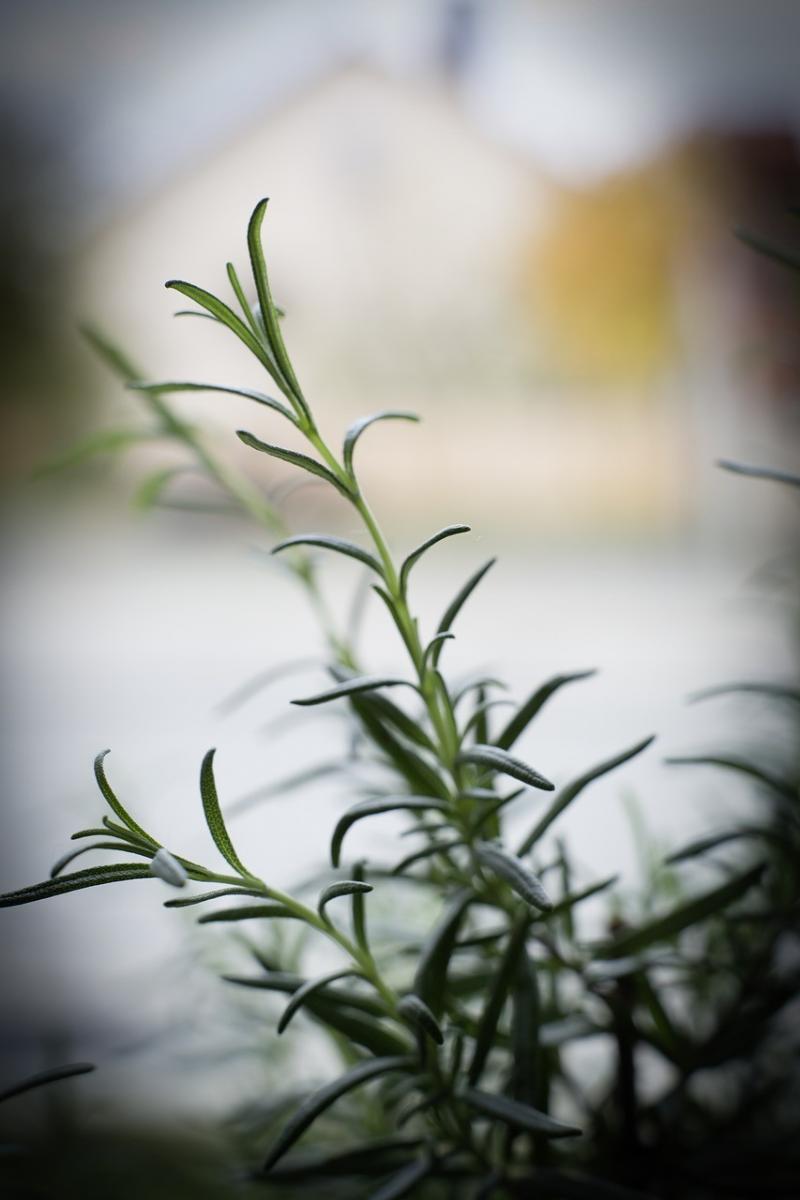 صور لـ #طبخ #يطبخ #عطري #بهار #نكهة #الطبخ