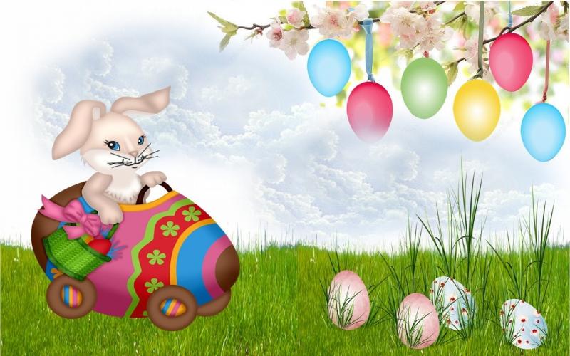 صور لـ #بيضة_عيد_الفصح #عيد_الفصح #الحديقة #أرنب