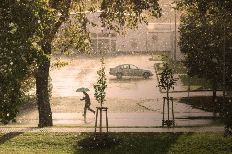 صور لـ #رجل #عاصفة #إلى_الأمام #تمطر #يركض #وابل #مظلة