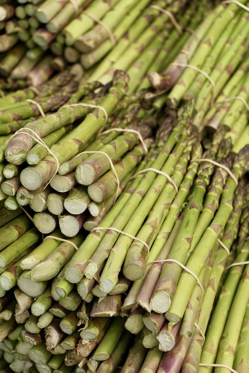 صور لـ #الهليون_الأخضر #الخضروات #أخضر #نبات_الهليون