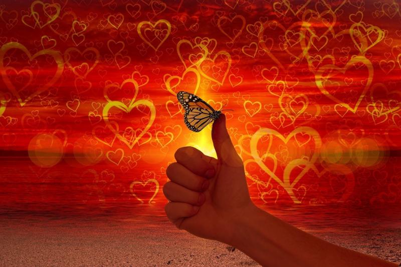 صور لـ #فراشة #العافية #إبهام_اليد #سهولة #حب #مثل #قلب