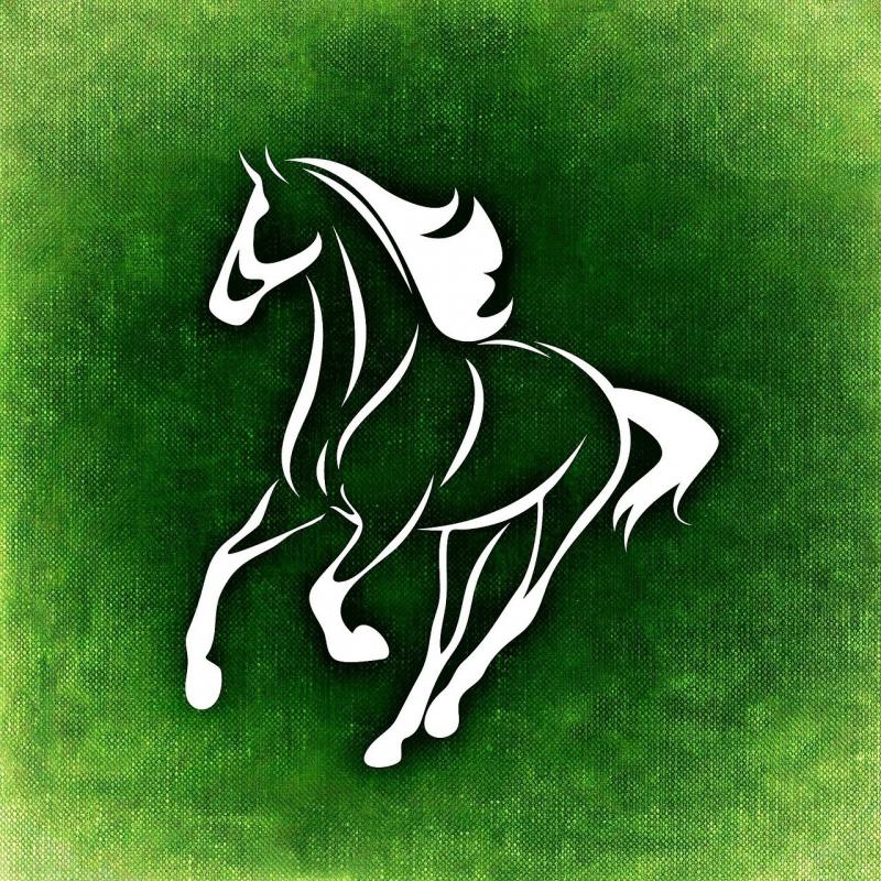 صور لـ #اركب #سباق_الخيل #رماحة #حصان #الفروسية 