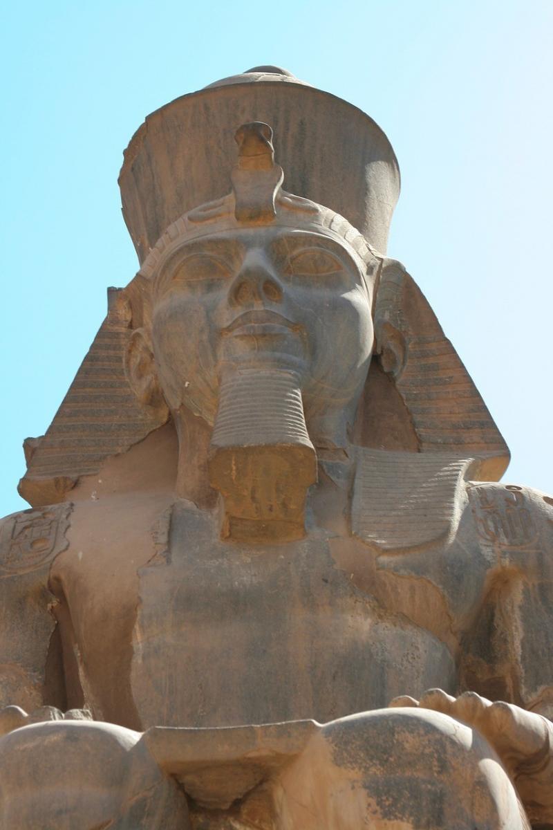 صور لـ #حيوان #مصر #الهيروغليفية_فن_الكتابة_المصرية_الفرعونية #الأقصر