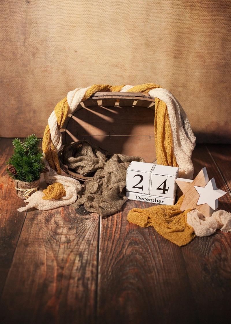 صور لـ #ديسمبر #البونسيتة #عيد_الميلاد #24 #اليوم_الذي_يسبق_ليلة_الميلاد