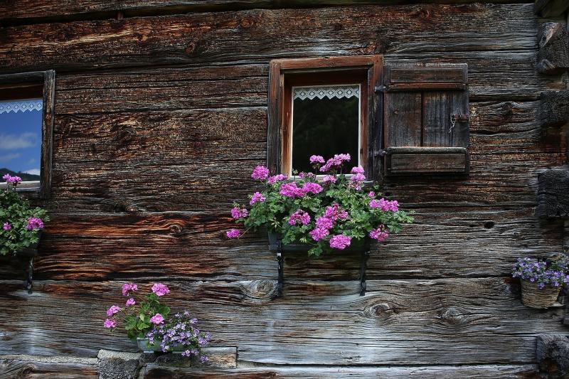 صور لـ #Kleinwalsertal #ألغاو #الصيف #جبال_الألب_هت #البيني