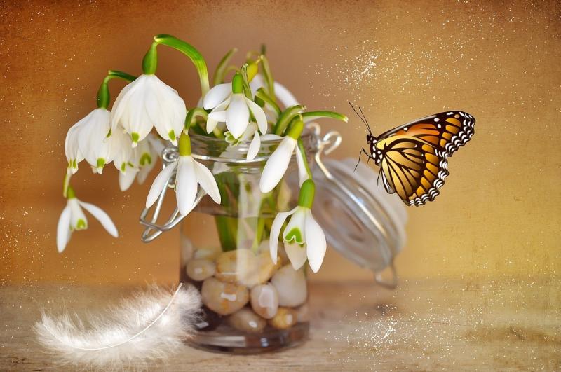 صور لـ #زهرة_اللبن_الثلجية #زنبق_الوادي #ديكور_الزجاج #زجاج