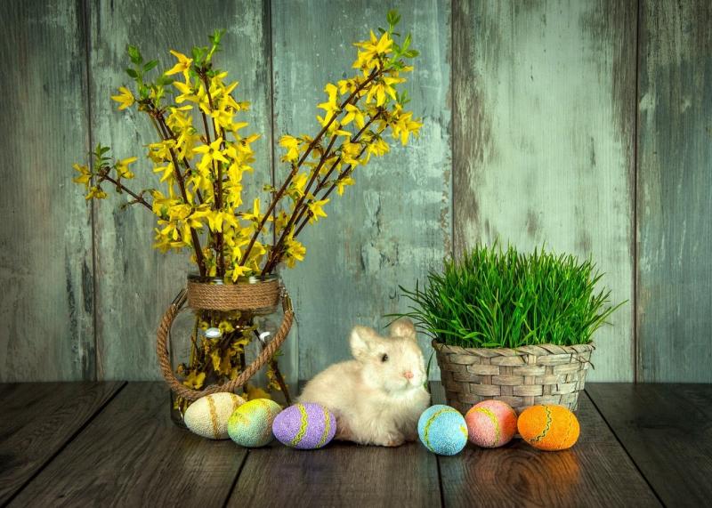 صور لـ #بيض #عيد_الفصح #يوم_الاجازة #بيض_عيد_الفصح #أرنبة #ربيع