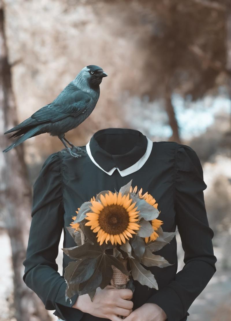 صور لـ #دوار_الشمس #أسود #داكن #شخص #فن_راقي #فتاة #غراب