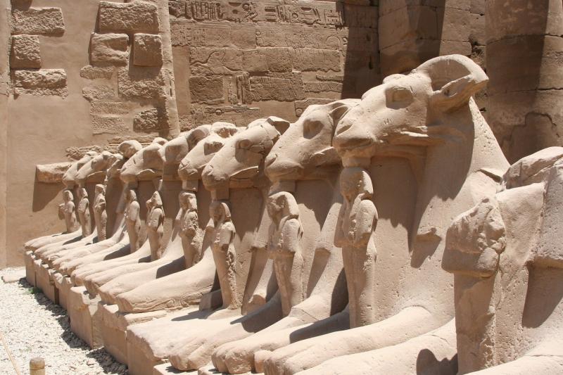 صور لـ #حيوان #الهيروغليفية_فن_الكتابة_المصرية_الفرعونية #مصر #الأقصر