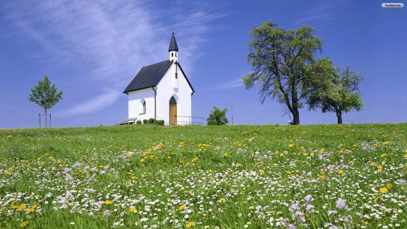 #خلفيات #كنائس #Church #كنيسة #مسيحية #نصرانية #دين #عبادة - 6