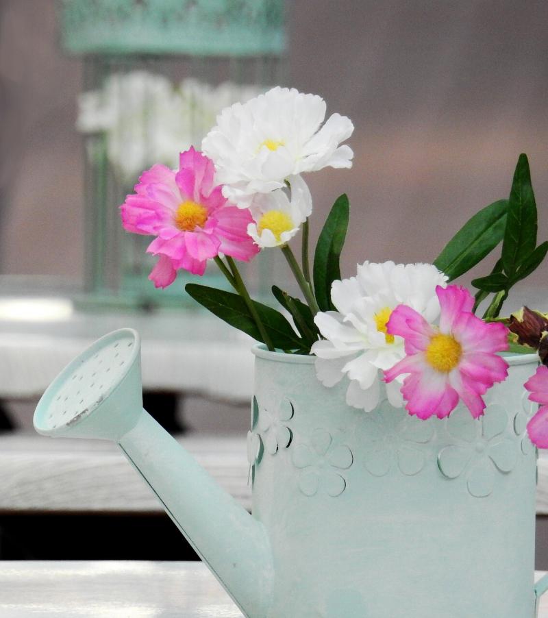 صور لـ #معدن #علبة #حديقة #وعاء #صب #صفيحة_للري