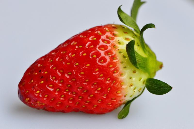 صور لـ #فراولة #حلو #صورة قريبة #فاكهة #أحمر #طعام #ثمار
