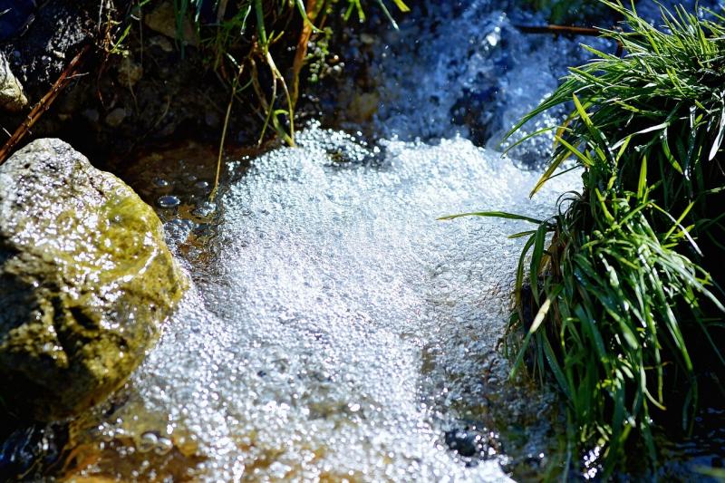 صور لـ #حياة_العزاب #فقاعات_هواء #مياه #طبيعة #صورة قريبة #ماء