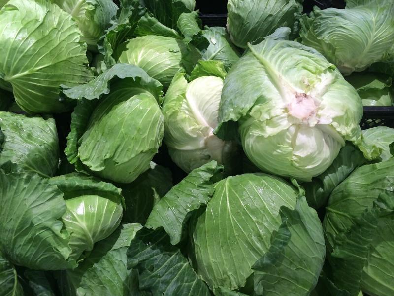 صور لـ #أخضر #خضروات #Seiyu_المحدودة #يجمع #الذين_يعيشون #الكرنب