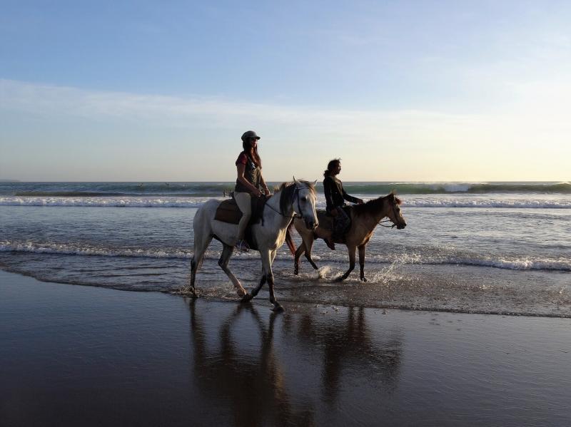 صور لـ #بحر #بالي #شاطئ_بحر #خيل
