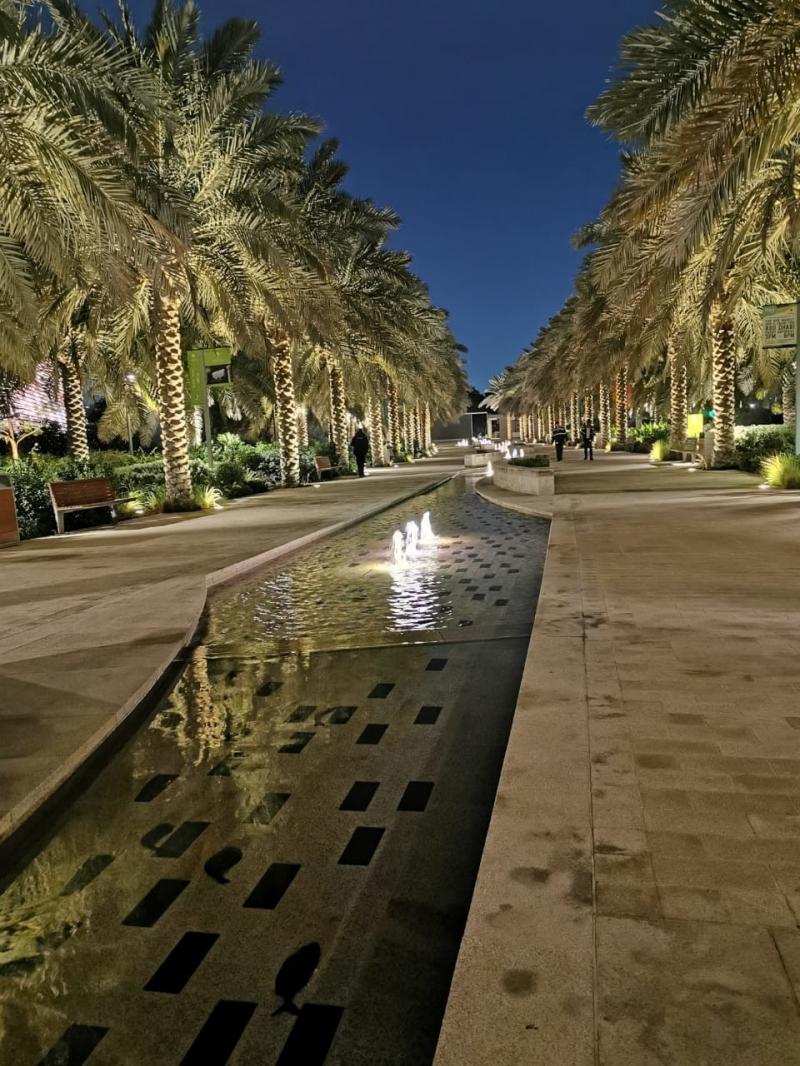 Um Al Emarat Park #amazingview #iloveuae #huaweip30pro #photograph