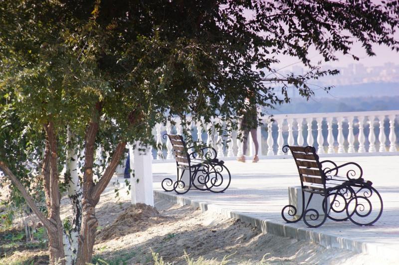 صور لـ #صورة_فوتوغرافية #تنزه #الخريف #زقاق #متجر #الأشجار #منتزه