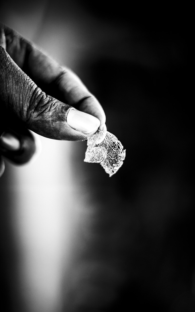 صور لـ #الرمادي #غادر #BNW #أصابع #نبات #يد