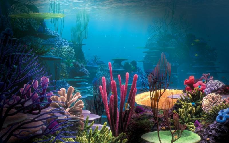 #خلفيات وصور تحت #البحر #Under_Sea #سمك #أسماك #Fish عالية الوضوح - 34