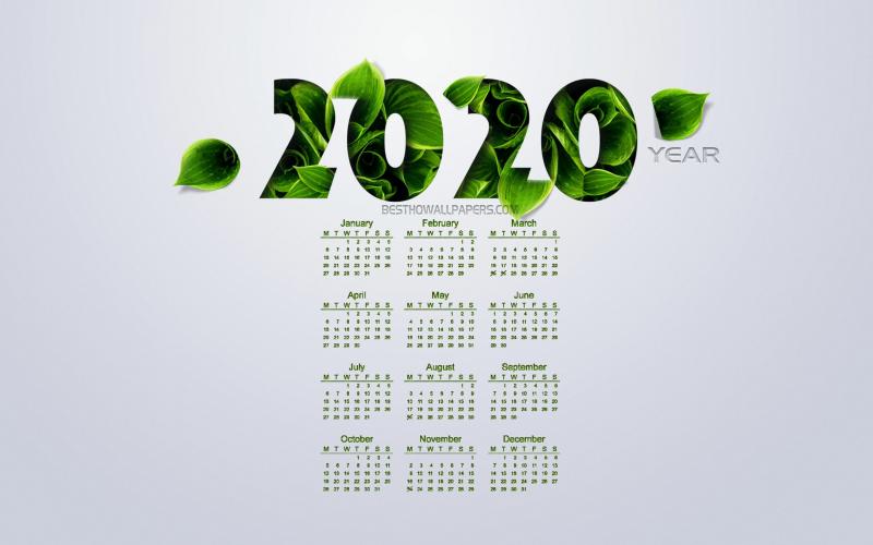 #تصاميم #رزنامة #تاريخ #Calendar للعام 2020 - 12