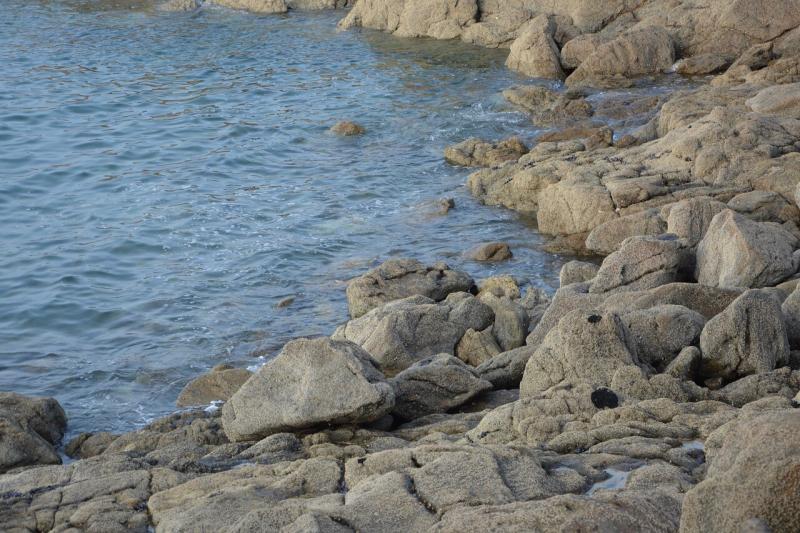 صور لـ #فرنسا #دينار #تنزه #بحر #الصخور #بريتاني #طبيعة