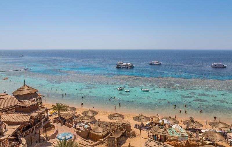 صور لـ #ماء #مصر #تحت_الماء #الشعاب_المرجانية #بحر #مرجان #محيط
