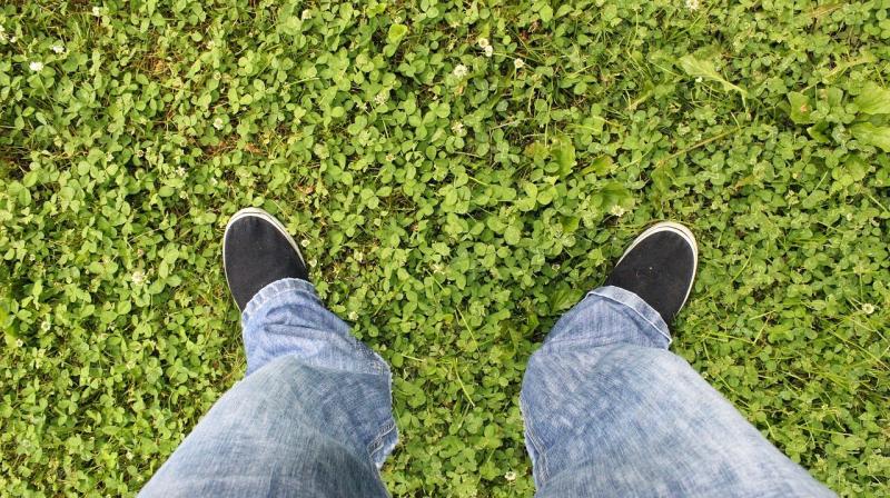 صور لـ #جينز #جينز_أزرق #نجيل #نفل