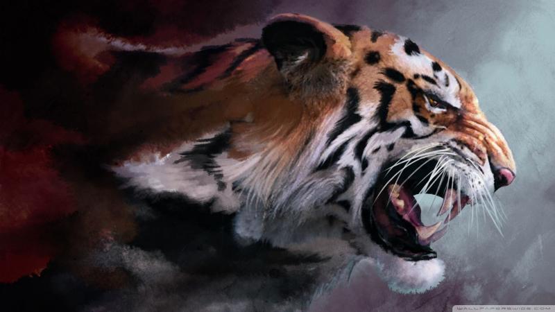صور #نمر #نمور #Tiger #حيوانات #طبيعة - 37