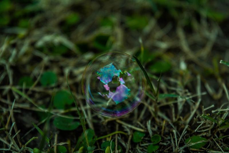 صور لـ #فقاعات #انعكاس #أخضر #نجيل #ماء