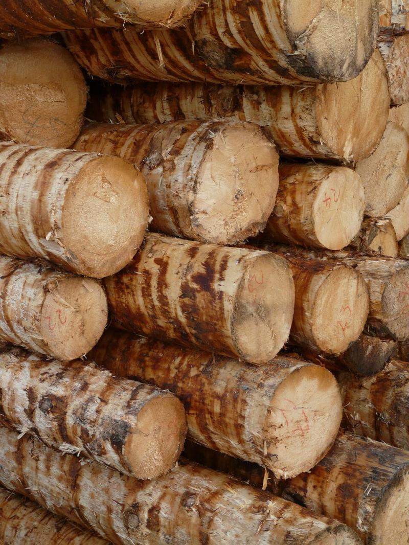 صور لـ #Holzstapel #خشب #صناعة_الخشب #خشب #جذوع_الأشجار