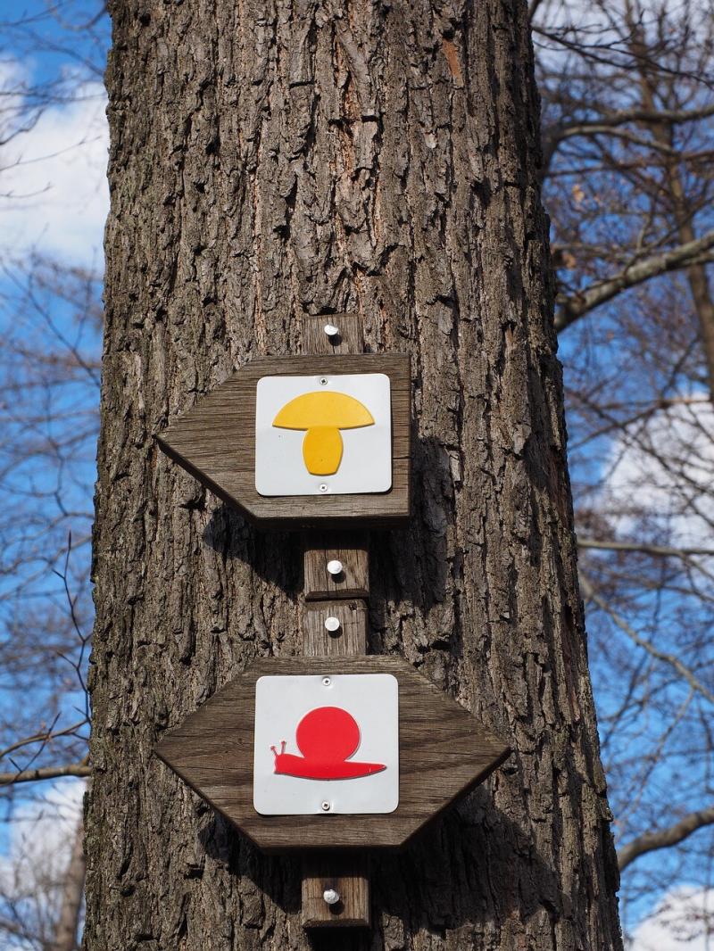 صور لـ #Waymarks #الدليل #علامة #الطابع_المهاجر #علامات