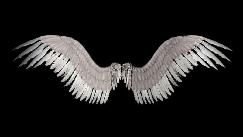 Fay3 - #خلفيات #أجنحة #Wings #ملائكة #Angels عالية الوضوح - 46