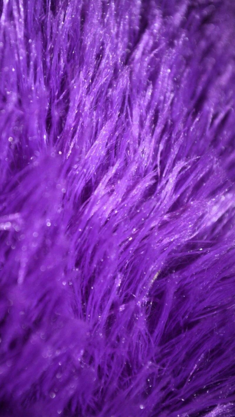 #خلفيات #عروض_تقديمية #Presentations تحتوي على #Fur #فرو عالية الوضوح - 35