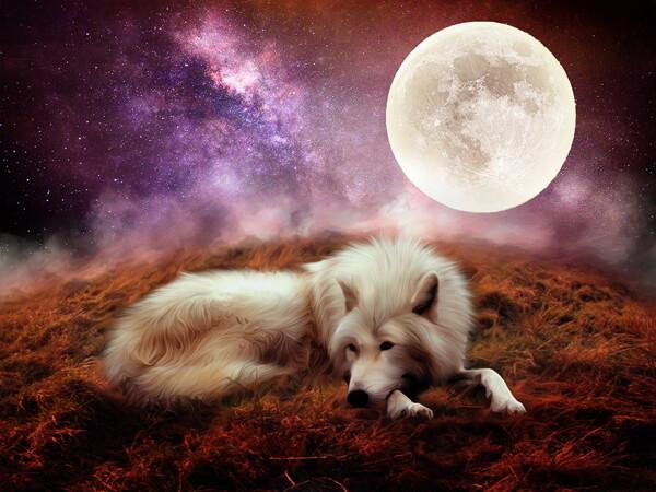 تعديل الصور بشكل مميز باستخدام ال #Photoshop #فوتوشوب #فن #تسويق - 33