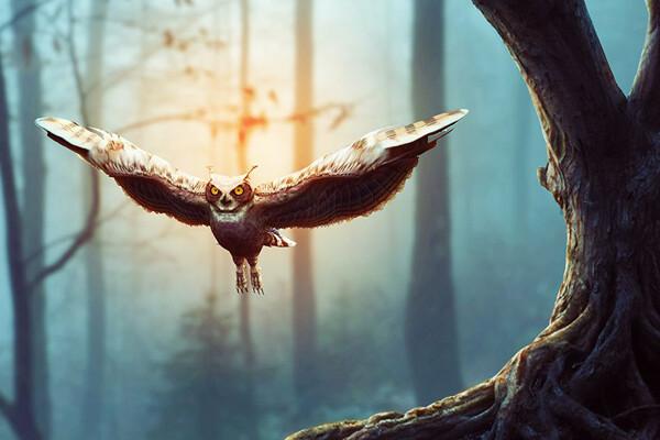 تعديل الصور بشكل مميز باستخدام ال #Photoshop #فوتوشوب #فن #تسويق - 23