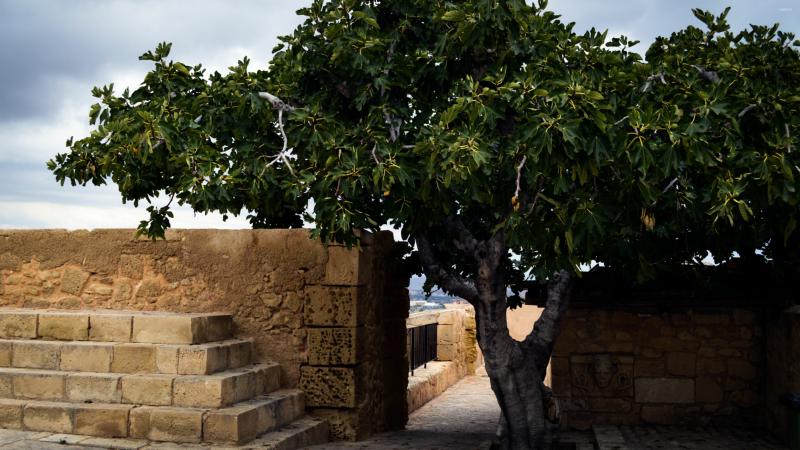 صور من مدينة #Santa_Barbara #سانتا_باربارا في #أمريكا #America #سياحة - 51