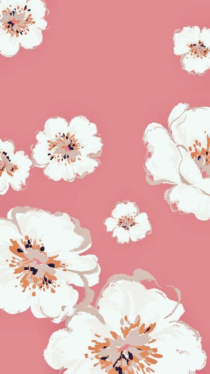 #خلفيات #ورود #Roses #أزهار #زهور #Flowers عالية الوضوح - 1