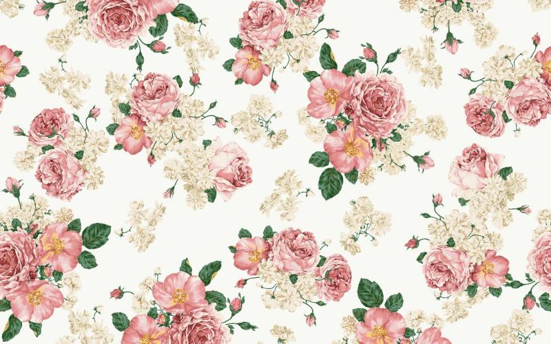#خلفيات #ورود #Roses #أزهار #زهور #Flowers عالية الوضوح - 3