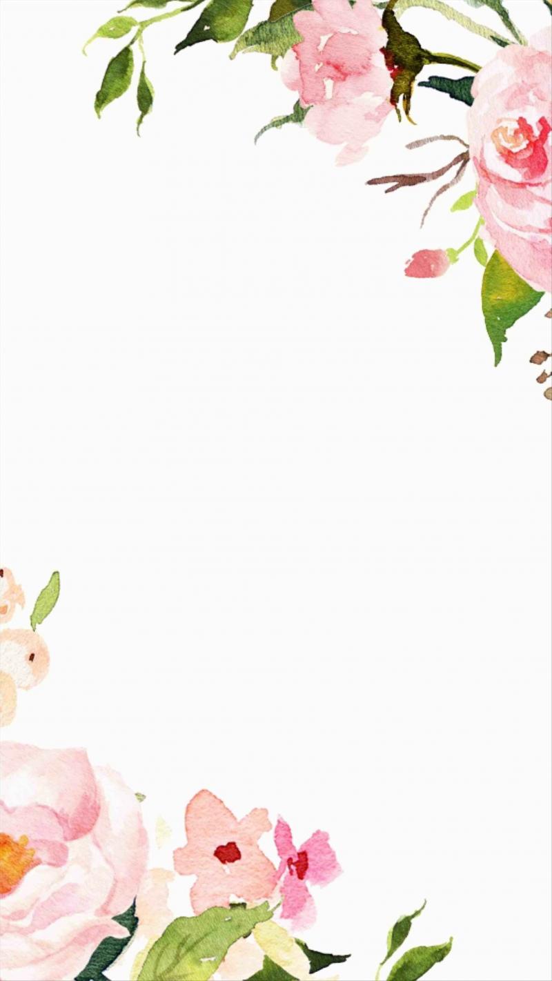 #خلفيات #ورود #Roses #أزهار #زهور #Flowers عالية الوضوح - 503