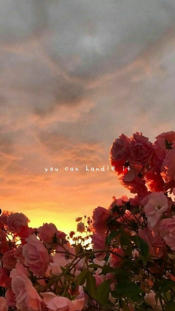 #خلفيات #ورود #Roses #أزهار #زهور #Flowers عالية الوضوح - 184