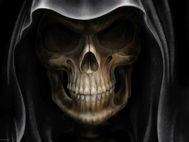#خلفيات #جماجم #جمجمة #Skull عالية الوضوح - 15