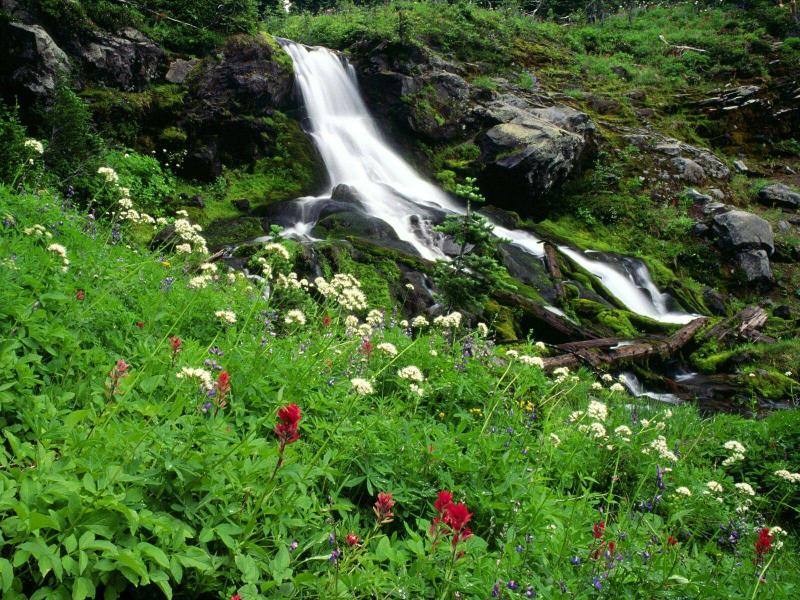 #خلفيات #صور #Waterfalls #شلالات #Nature #طبيعة عالية الوضوح - 6