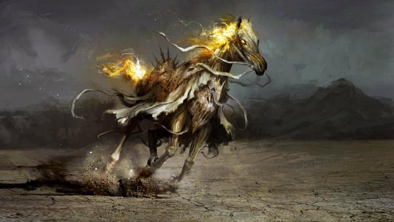 صور #خيل #أحصنة #حصان #Horse #حيوانات #Animals عالية الوضوح - 159