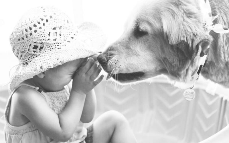 صور #أطفال #طفل #Kid #صغار #Child عالية الوضوح - 62