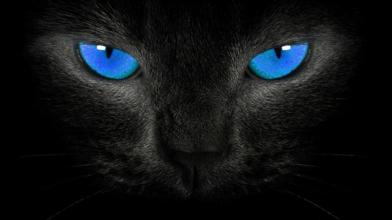 مجموعة صور منوعة #عيون #عين #Eyes عالية الوضوح - 278